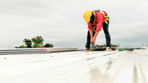 Best Flat Roofing  in Cold Springs, NV